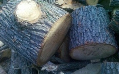 Дрова из липы в чурках с доставкой